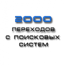 2000 уникальных  посетителей на ваш сайт