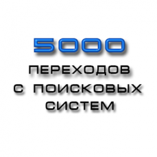 5000 уникальных  посетителей на ваш сайт