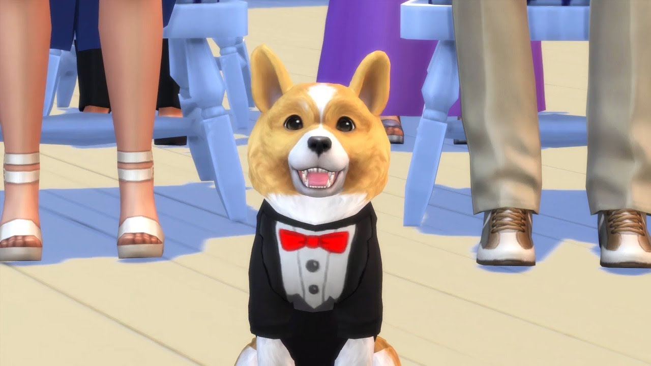 sims 4 cats and dogs origin code sims 4 cats and dogs origin code