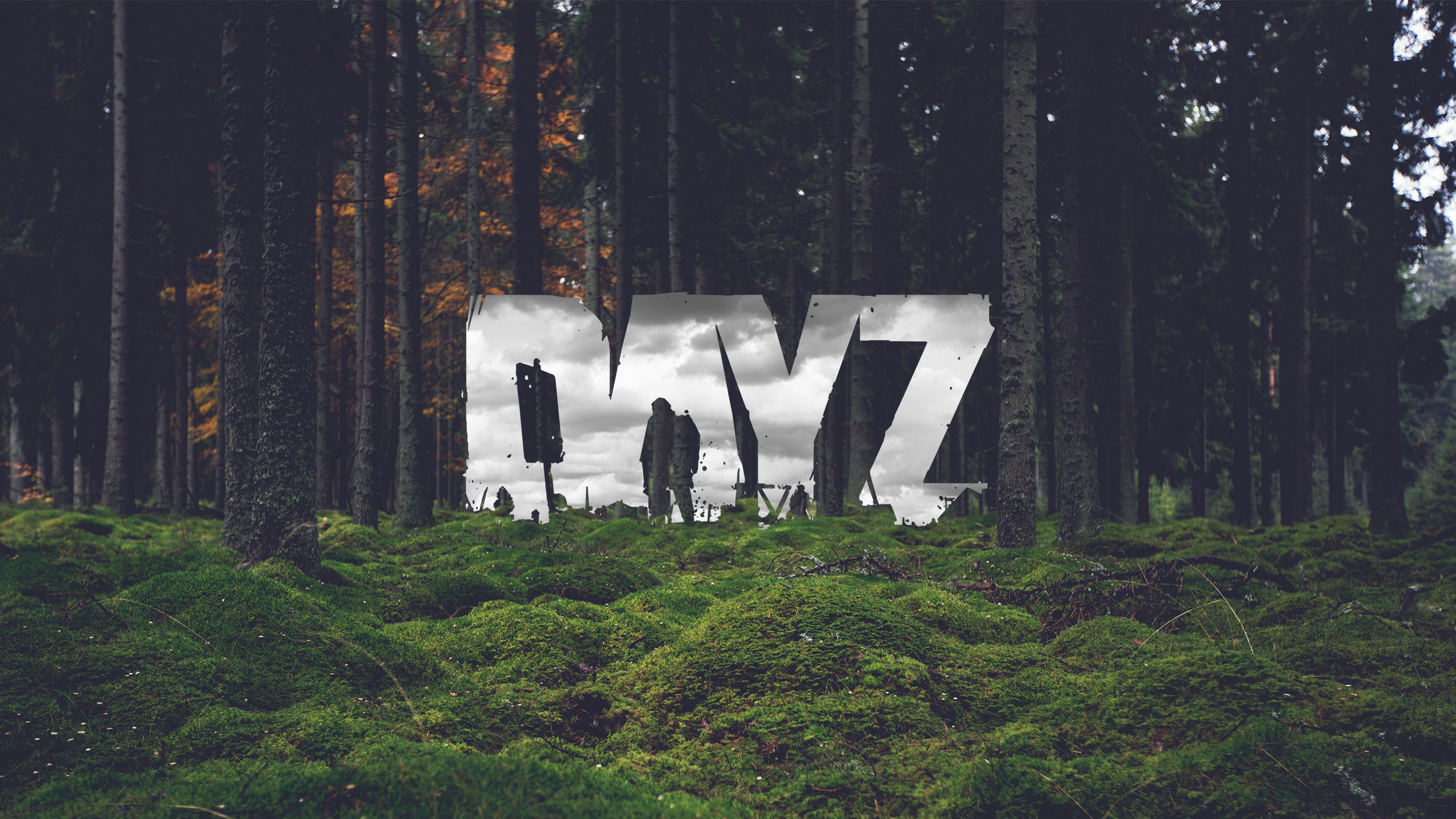 как получить dayz в steam фото 19