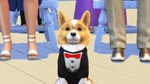 The Sims 4: Мой первый питомец (EA App/Весь Мир)