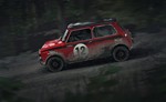 DiRT Rally (Steam Ключ/Весь мир)