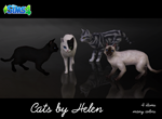 👻The Sims 4: Кошки и Собаки (EA App/Весь Мир)