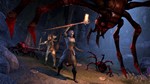 Elder Scrolls Online: Summerset Upgrade (Region Free) - irongamers.ru
