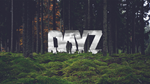 DayZ (Steam/Весь Мир) Без комиссии