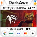 Stray STEAM•RU ⚡️АВТОДОСТАВКА 💳0% КАРТЫ