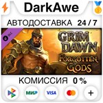 Grim Dawn - Forgotten Gods Expansion STEAM ⚡️АВТО 💳0%