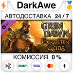 Grim Dawn - Forgotten Gods Expansion STEAM **АВТО *0%