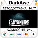 Labyrinthine STEAM•RU ⚡️АВТОДОСТАВКА 💳КАРТЫ 0%