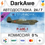 IL-2 Sturmovik: P-40E-1 Collector Plane (Steam | RU) *А