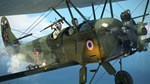 IL-2 Sturmovik: Polikarpov U-2VS (Steam | RU) ⚡АВТОДОСТ