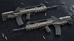 Insurgency: Sandstorm - Two-Tone Weapon Skin Set **АВТО