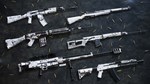 Insurgency: Sandstorm - Whiteout Weapon Skin Set **АВТО