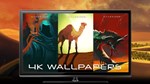 Starsand - Digital Supporter Pack DLC STEAM **АВТО *0%