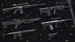 Insurgency: Sandstorm - Dealer Gear Set DLC **АВТО