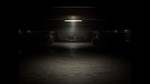 The Backrooms Experiment STEAM•RU **АВТОДОСТАВКА *0%
