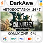 Call of Juarez: Bound in Blood STEAM•RU **АВТО *0%