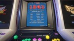 Capcom Arcade Stadium: Invincibility DLC STEAM **АВТО