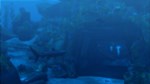 Tomb Raider: Underworld STEAM•RU **АВТОДОСТАВКА *0%