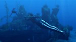 Tomb Raider: Underworld STEAM•RU **АВТОДОСТАВКА *0%