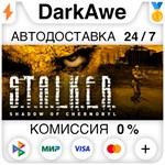 STALKER: Shadow of Chernobyl STEAM•RU ⚡️АВТО 💳0% - irongamers.ru