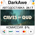 Caves of Qud STEAM•RU **АВТОДОСТАВКА *0%