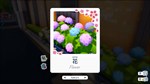 Shashingo: Learn Japanese with Photography STEAM **АВТО