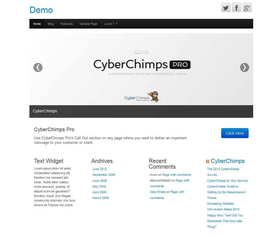 CyberChimps Pro