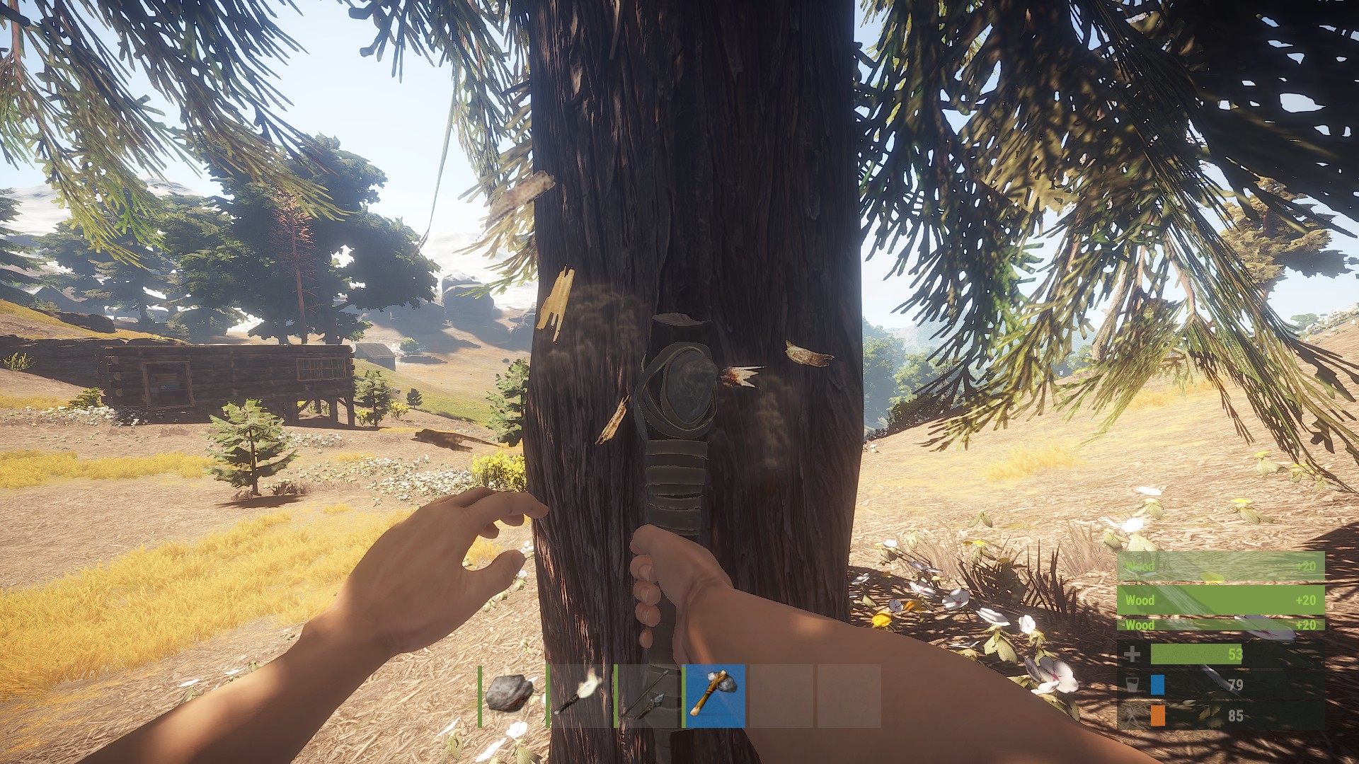 Rust alpha gift фото 43