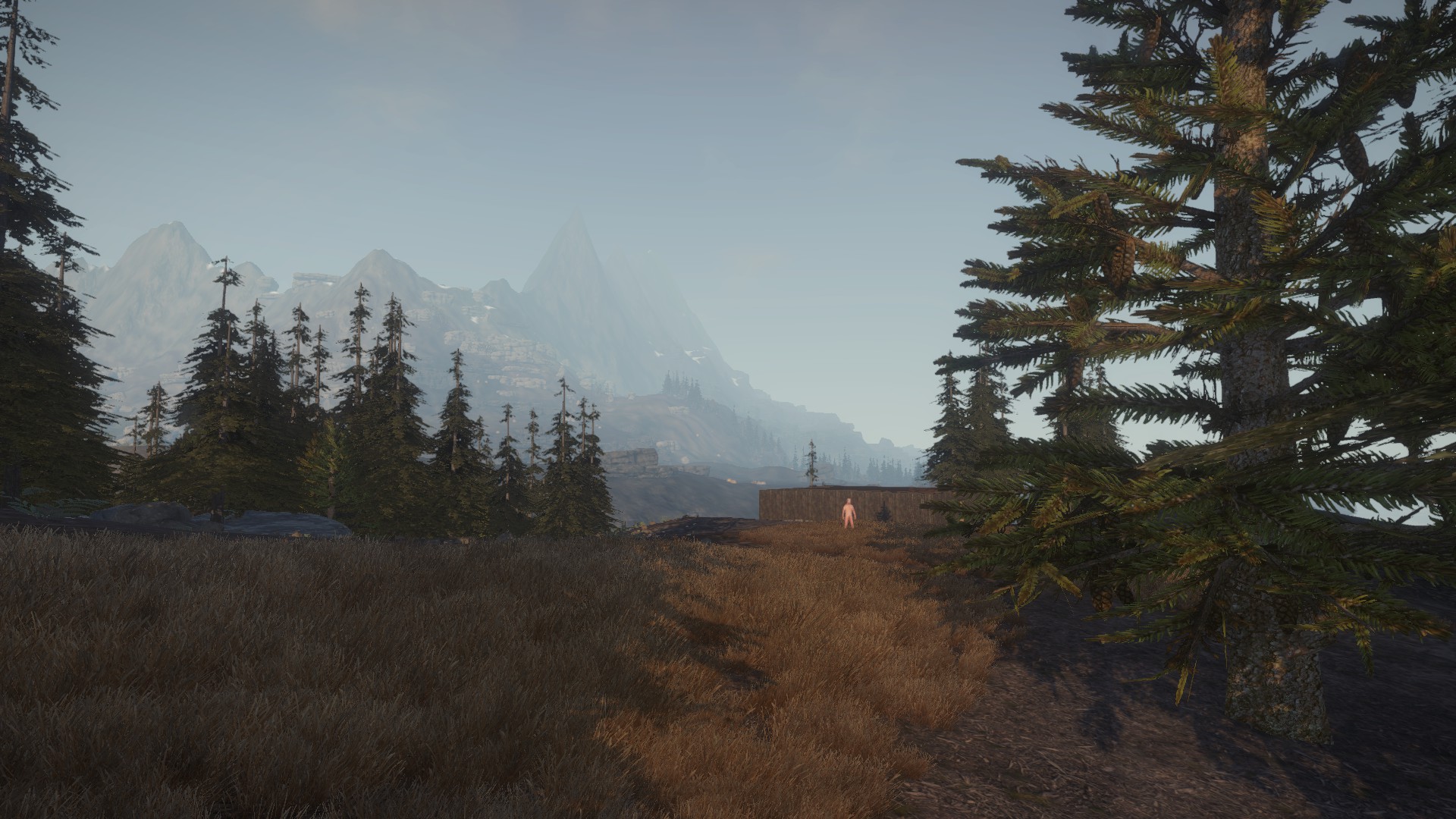 Rust alpha gift фото 36