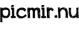 200пик для сайта PicMir