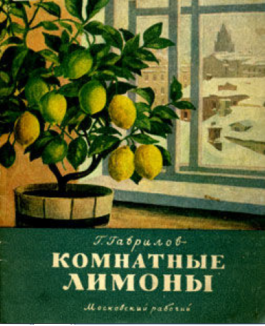 Гаврилов Г.С. Комнатные лимоны 1955 г.