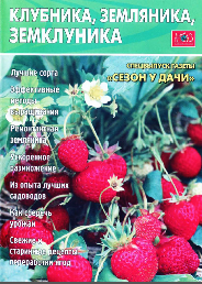 Сезон у дачи: Клубника, земляника, земклуника