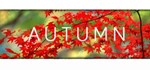 *Autumn*Steam\РФ+Весь Мир\Key*+ Карточки*