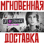 *Life is Strange: Before the Storm*Steam\РФ+Мир\Key +*