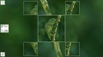 *Puzzle Art: Reptiles*Steam\РФ+ВесьМир\Key*