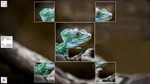 *Puzzle Art: Reptiles*Steam\РФ+ВесьМир\Key*