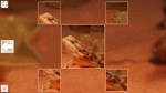 *Puzzle Art: Reptiles*Steam\РФ+ВесьМир\Key*