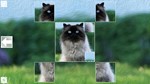 *Puzzle Art: Cats*Steam\РФ+ВесьМир\Key*