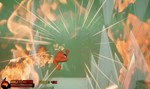*Jigoku Unko: Toripuru*Steam\РФ + Весь Мир\Key*