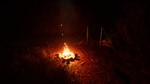 *Taiga * Steam\РФ+ВесьМир\Key* + *Бонус