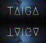 *Taiga * Steam\РФ+ВесьМир\Key* + *Бонус