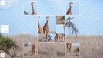 *Puzzle Art: Artiodactyls*Steam\РФ+ВесьМир\Key*