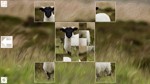 *Puzzle Art: Artiodactyls*Steam\РФ+ВесьМир\Key*