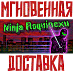 *Ninja Roquinexu * Steam\РФ+Весь Мир\Key*