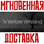 *´n Verlore Verstand * Steam\РФ+Весь Мир\Key*+ Карточки