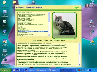 КОШКИ - электронная энциклопедия пород