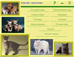 CATS - electronic encyclopedia of rock - irongamers.ru