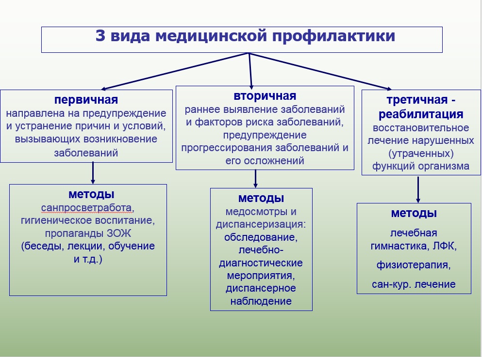 Профилактические медицинские мероприятия включают