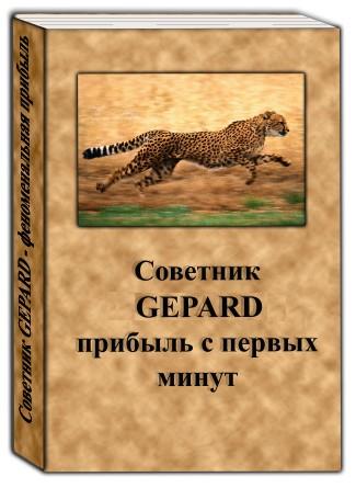 Советник эксперт Gepard 5.0